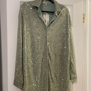 BRAND NEW Anthropology Shirt dress super shimmery size small  color is mint.